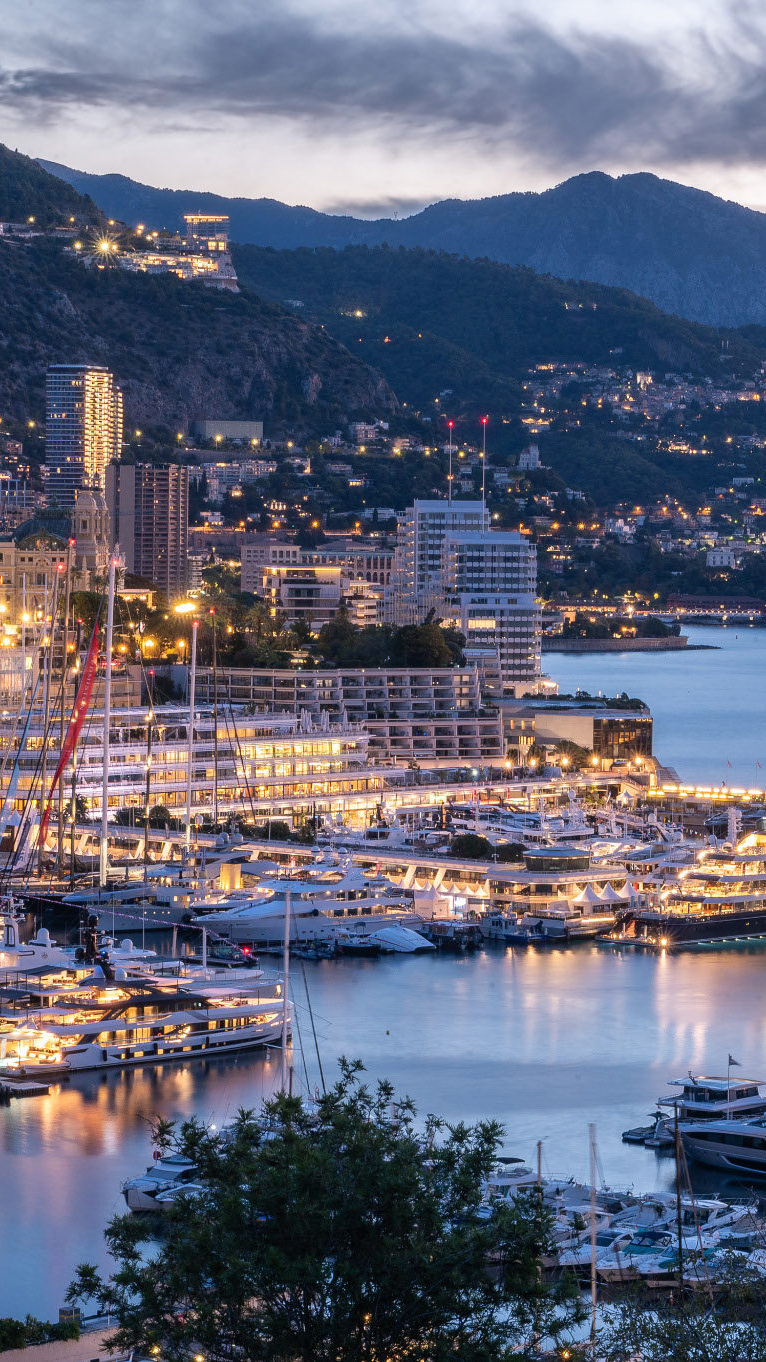 Alex Righetto ad Art & Luxury Monaco 2026 5 artwork mys 6a82df77a57746 uai